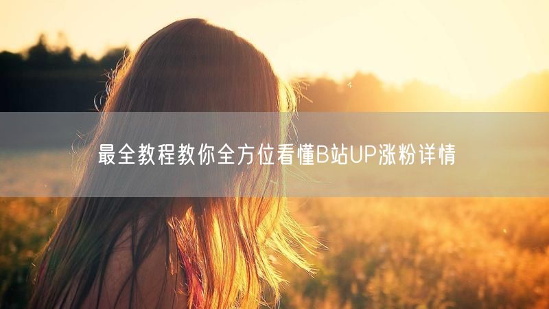 最全教程教你全方位看懂B站UP涨粉详情