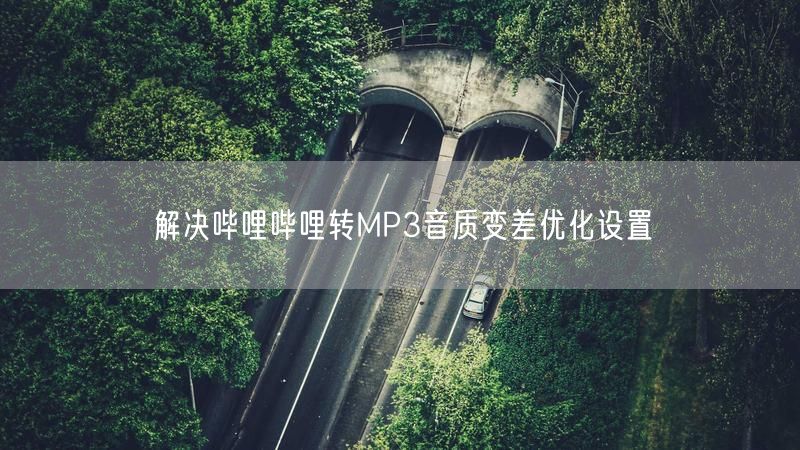 解决哔哩哔哩转MP3音质变差优化设置