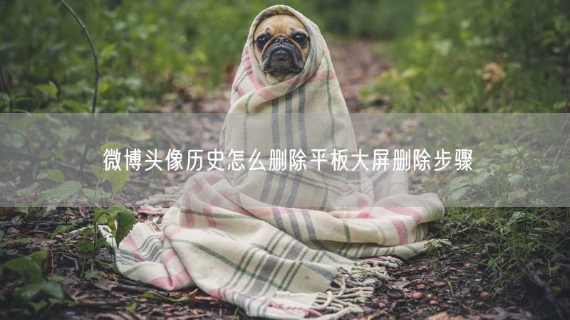 微博头像历史怎么删除平板大屏删除步骤