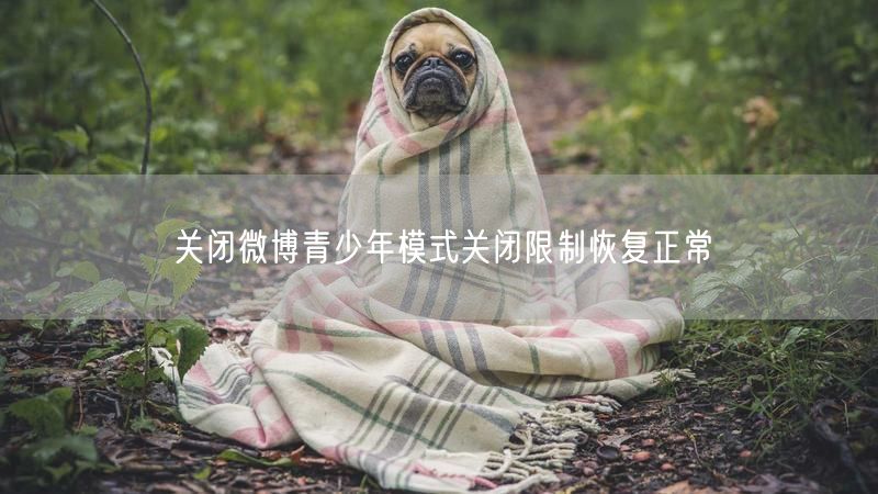 关闭微博青少年模式关闭限制恢复正常