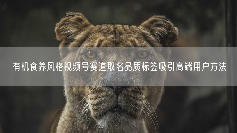 有机食养风格视频号赛道取名品质标签吸引高端用户方法