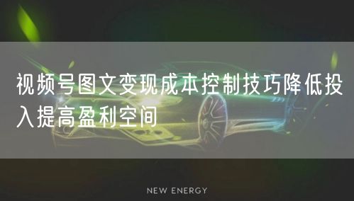 视频号图文变现成本控制技巧降低投入提高盈利空间