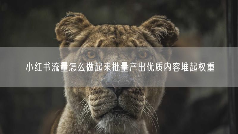小红书流量怎么做起来批量产出优质内容堆起权重