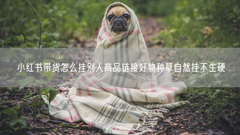 小红书带货怎么挂别人商品链接好物种草自然挂不生硬