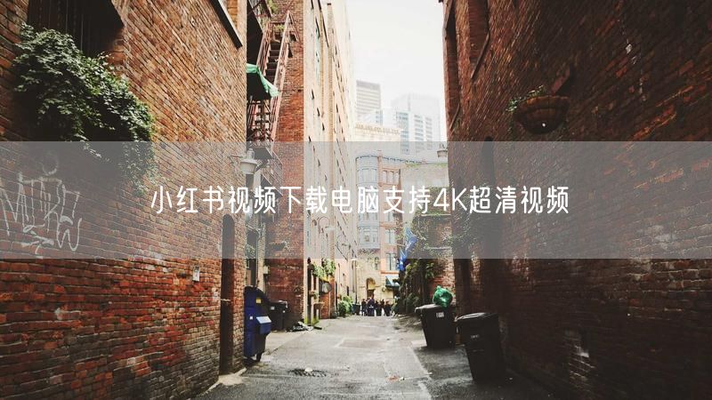 小红书视频下载电脑支持4K超清视频