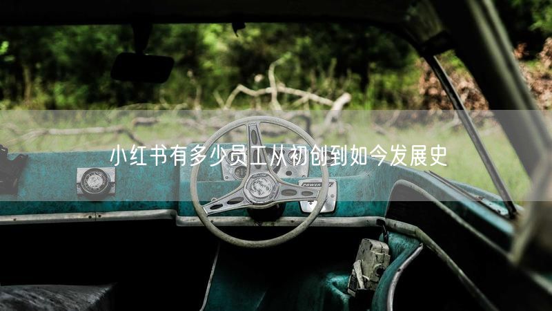 小红书有多少员工从初创到如今发展史