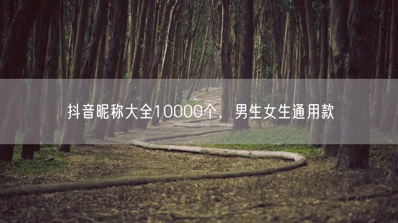 抖音昵称大全10000个，男生女生通用款