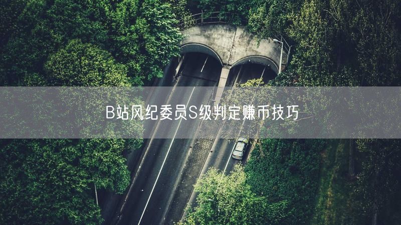 B站风纪委员S级判定赚币技巧