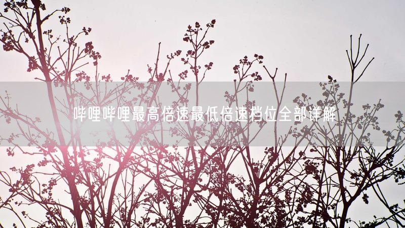 哔哩哔哩最高倍速最低倍速档位全部详解