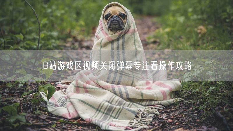 B站游戏区视频关闭弹幕专注看操作攻略