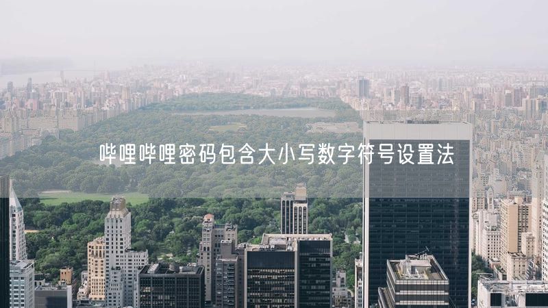 哔哩哔哩密码包含大小写数字符号设置法