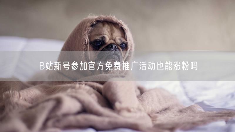 B站新号参加官方免费推广活动也能涨粉吗