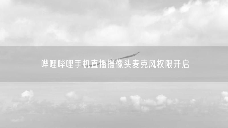 哔哩哔哩手机直播摄像头麦克风权限开启