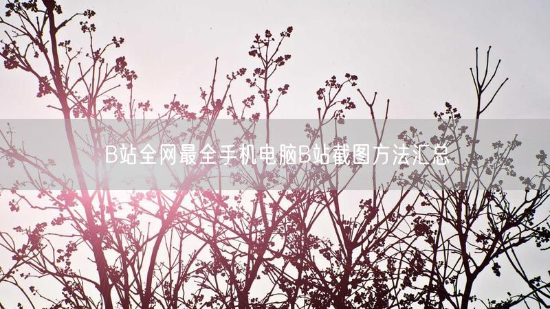 B站全网最全手机电脑B站截图方法汇总